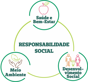 Pilares de atuação da Responsabilidade Social: Saúde e Bem-Estar, Meio Ambiente e Desenvolvimento Social