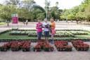 Cooperativa distribui 1.500 flores em comemoração ao Dia das Mães